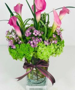 Hydrangea, Calla Lilies in a fresh clear vase finished with lily grass and a nice sleek bow.   Great for any occasion - Simple and Elegant.