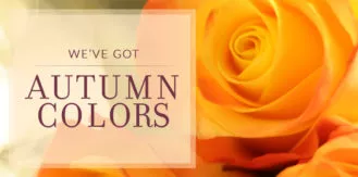Autumn-AutumnColors-roses-blog