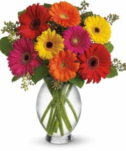 Clear glass filled with vibrantly colored Gerbera daisy flowers in pinks, yellows, and oranges.