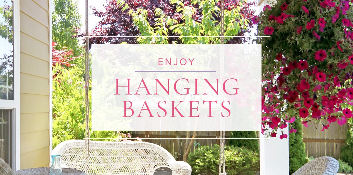 Macrame Plant Hanger hand-woven plant potted hanging net [Earth